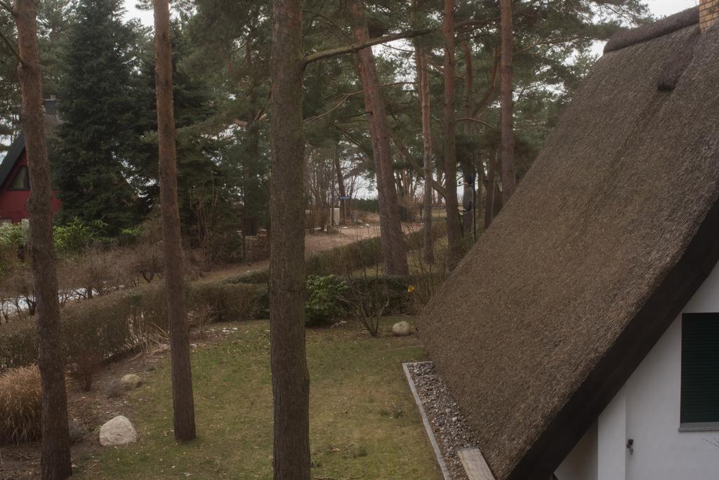 Reetdach-Ferienhaus In Quilitz Rankwitz Esterno foto